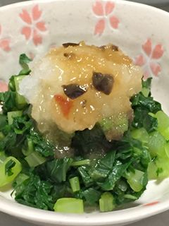 大根の葉っぱサラダ-レシピのメイン写真