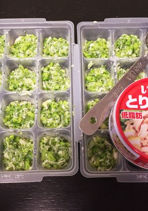 離乳食中期☆ブロッコリー&ささみ-レシピのメイン写真