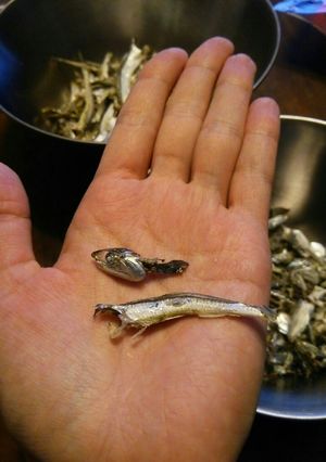 簡単に煮干しのはらわたが取れるコツ！-レシピのメイン写真