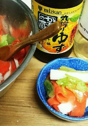 簡単即席サラダ漬物-レシピのメイン写真