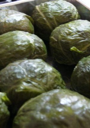 和歌山名物めはりずし（高菜おにぎり）-レシピのメイン写真