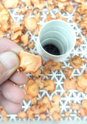 食品野菜乾燥機で干し人参作り-レシピのメイン写真