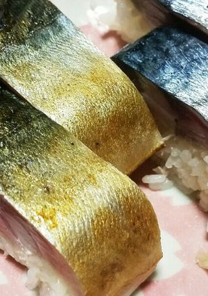 鯖寿司-レシピのメイン写真