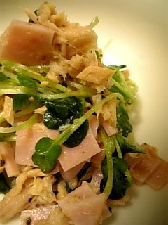 まぜるだけ♪かいわれ大根のキレイサラダ♪-レシピのメイン写真