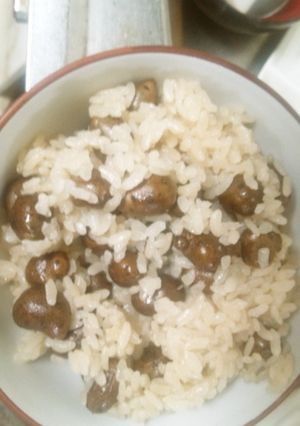 むかごの炊き込みごはん！簡単！-レシピのメイン写真