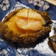 秀逸酒肴!三陸あわびの酒煮