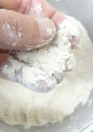 粉末器で干しシイタケの粉末化-レシピのメイン写真