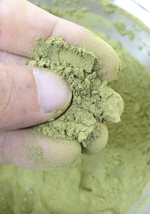 粉末器で緑茶のパウダー化-レシピのメイン写真