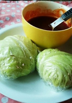 安心してください中身はキャベツじゃないよ-レシピのメイン写真