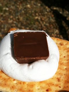 焼きマシュマロ!バーベキューの定番です。-レシピのメイン写真