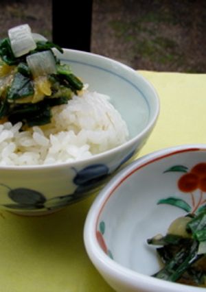 ご飯のおとも、葉玉ねぎのみそ炒め-レシピのメイン写真