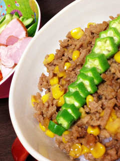 そぼろ丼-レシピのメイン写真