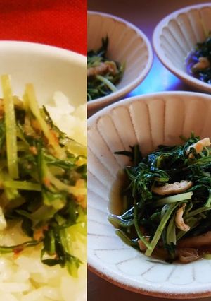 ジュワッと美味しい♪おかか水菜-レシピのメイン写真