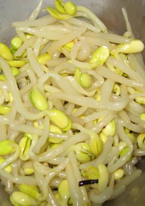豆もやしのナムル-レシピのメイン写真