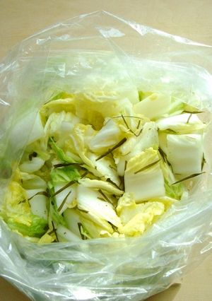☆すし酢・昆布の白菜漬け-レシピのメイン写真