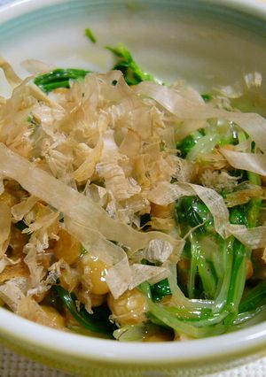 ハリハリ水菜と納豆の混ぜ混ぜサラダ-レシピのメイン写真