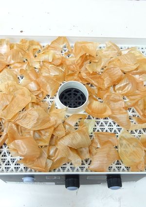 食品乾燥機でたまねぎの皮を乾燥-レシピのメイン写真