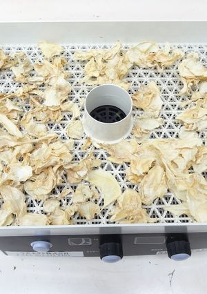 食品乾燥機で干し大根作り-レシピのメイン写真