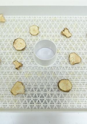 食品乾燥機で菊芋の乾燥-レシピのメイン写真