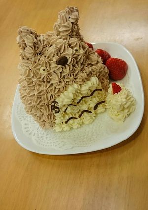 ケーキのデコ-レシピのメイン写真