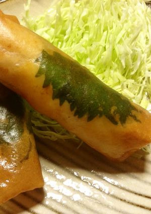 ごま昆布が決め手!ささみチーズ春巻き-レシピのメイン写真