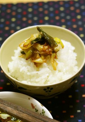 ご飯によく合う！岩津ねぎの味噌炒め-レシピのメイン写真