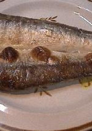「干物になりそこねたカマス」の塩焼き-レシピのメイン写真