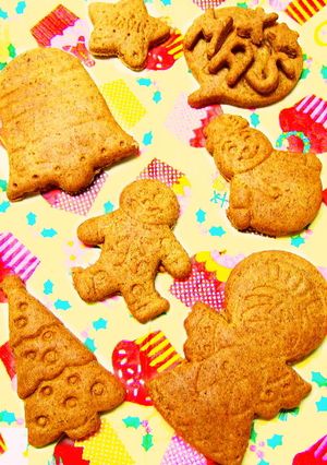 きな粉で糖質オフ◆サラダ油ソフトクッキー-レシピのメイン写真