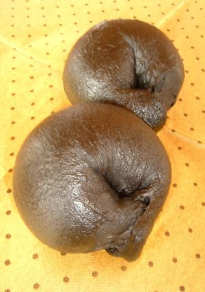 イカスミベーグル!!-レシピのメイン写真