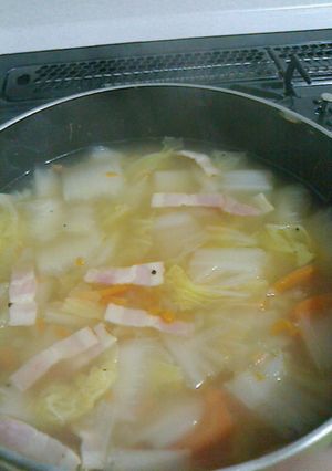 ＊風邪っぴきに捧ぐ☆野菜たっぷりポトフ＊-レシピのメイン写真