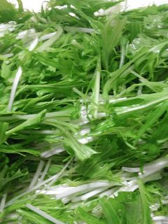 水菜長持ち♪カット野菜-レシピのメイン写真