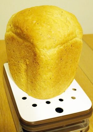 粉チーズパン(HB使用)-レシピのメイン写真