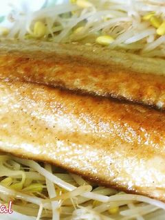 さごし(鰆の幼魚)の簡単ムニエル-レシピのメイン写真
