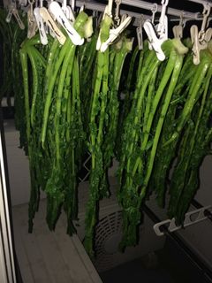 大根の葉で、干し大根の葉-レシピのメイン写真