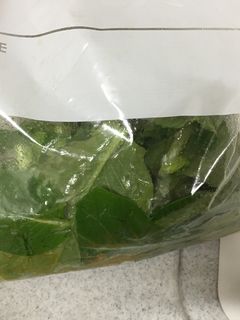 小松菜のワサビ和え★冷蔵2日-レシピのメイン写真