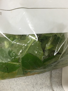 小松菜のワサビ和え★冷蔵2日-レシピのメイン写真