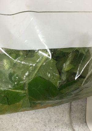 小松菜のワサビ和え★冷蔵２日-レシピのメイン写真