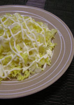 キャベツちゃうの？ 千切り白菜？-レシピのメイン写真
