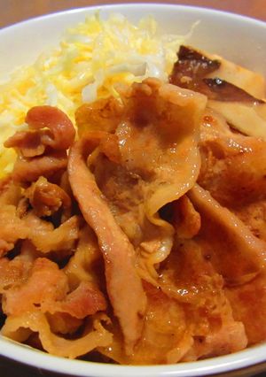 ノンメタポークの豚丼-レシピのメイン写真