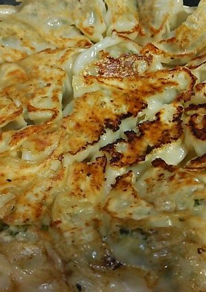 やさいたっぷりシャキッと餃子♪-レシピのメイン写真