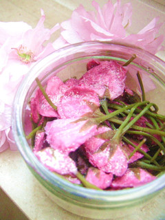 手作り♪桜の塩漬け-レシピのメイン写真