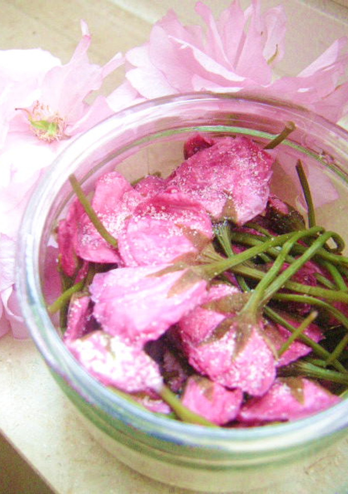 手作り♪桜の塩漬け-レシピのメイン写真