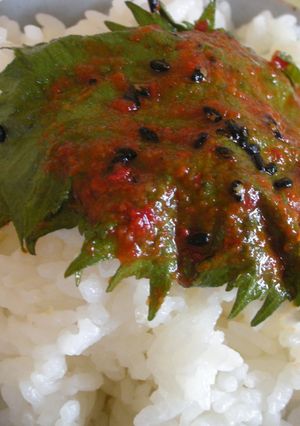 大葉キムチ-レシピのメイン写真