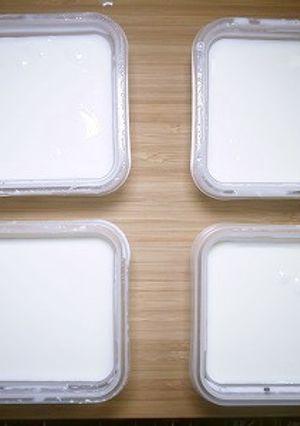 R1ヨーグルトの作り方(食品乾燥機)-レシピのメイン写真