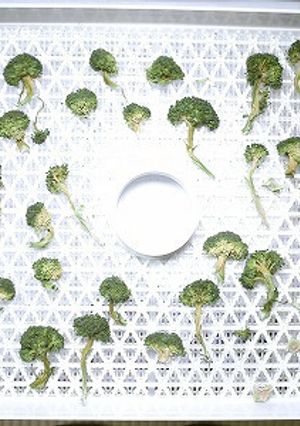 野菜乾燥機で作る干しブロッコリー-レシピのメイン写真