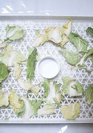 食品乾燥機で作る干し白菜(干し野菜）-レシピのメイン写真