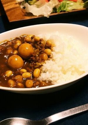 【お急ぎ】包丁いらず簡単キーマカレー-レシピのメイン写真