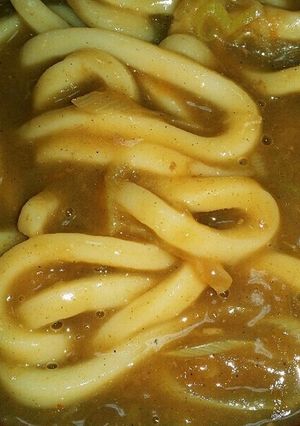 カレーの残りでホカトロ♪カレーうどん^^-レシピのメイン写真