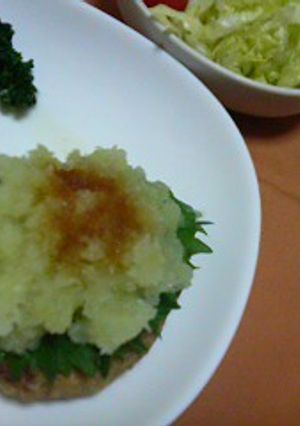 簡単☆ふわふわおろし豆腐ハンバーグ-レシピのメイン写真
