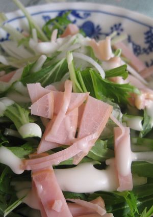 切るだけ!新玉ねぎと水菜のサラダ-レシピのメイン写真
